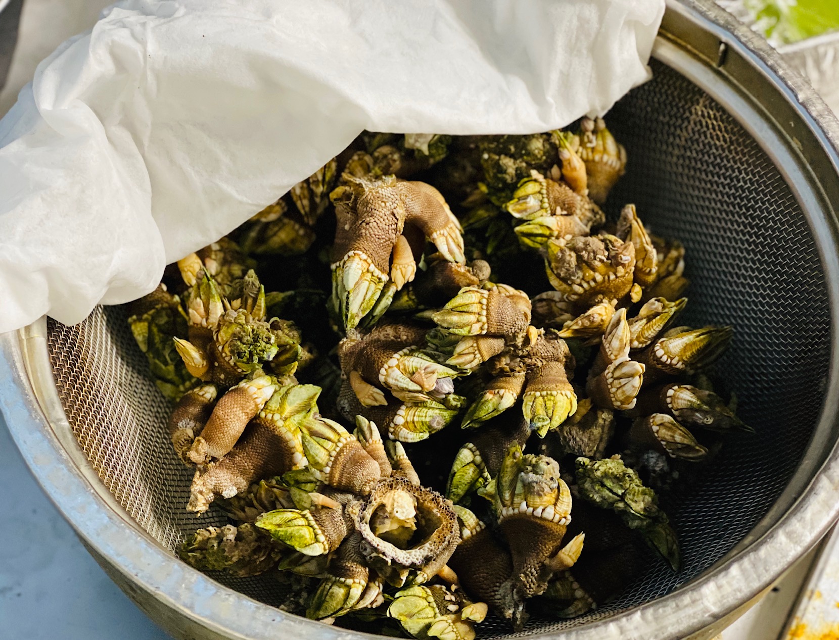 亀の手 釜茹で おすすめメニュー 全席個室 居酒屋 九州和食 八州 博多筑紫口店