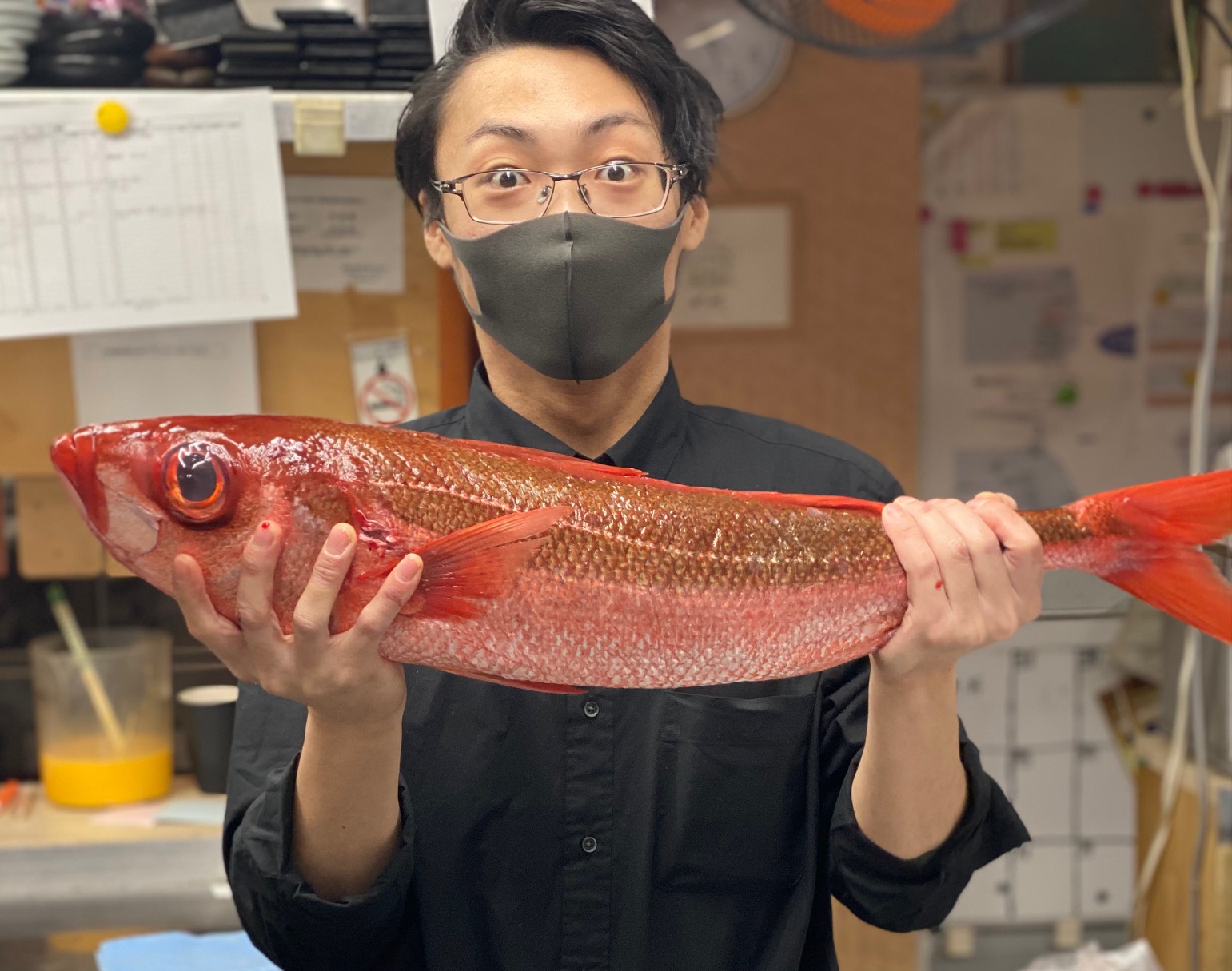 はちびき 鹿児島県 錦江湾産 鮮魚入荷情報 全席個室 居酒屋 九州和食 八州 博多筑紫口店 はちびき 鹿児島県 錦江湾産 鮮魚入荷情報 全席個室 居酒屋 九州和食 八州 博多筑紫口店
